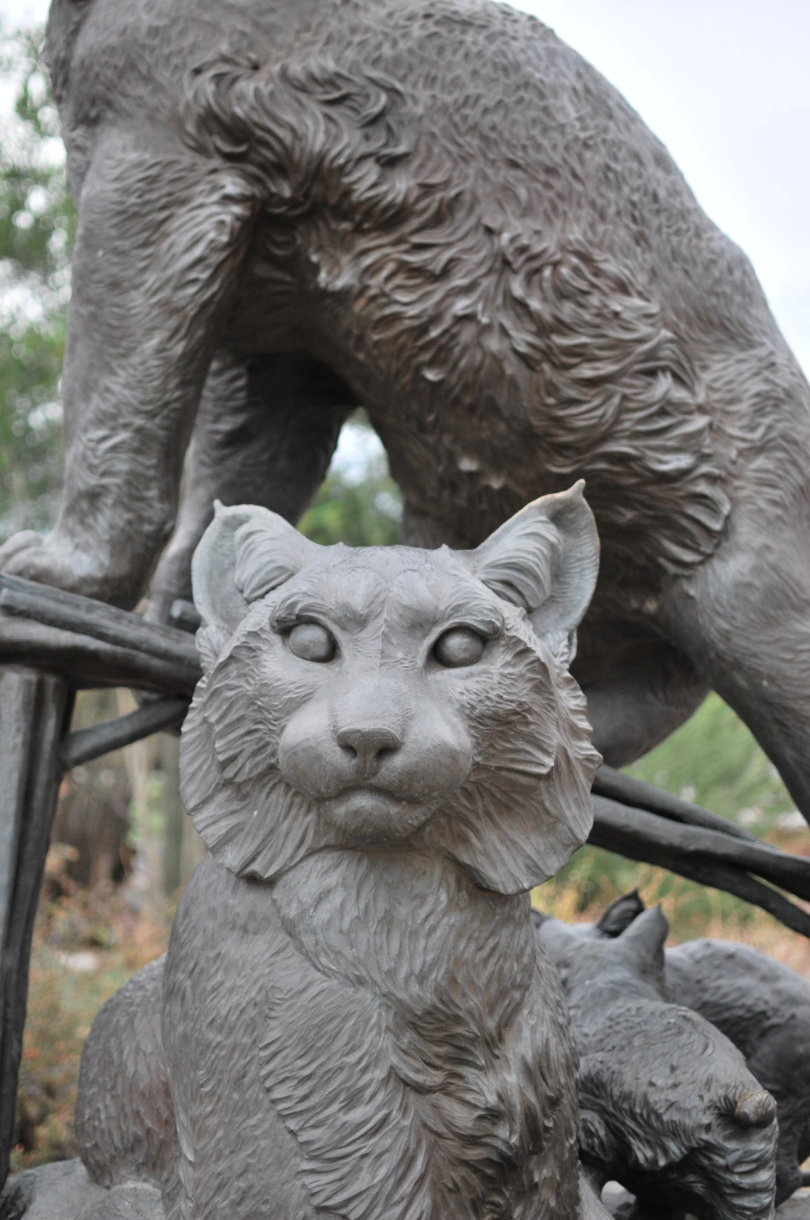 cats