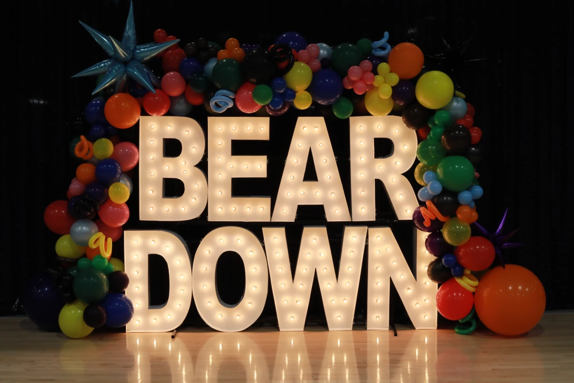 Bear Down with pride colors